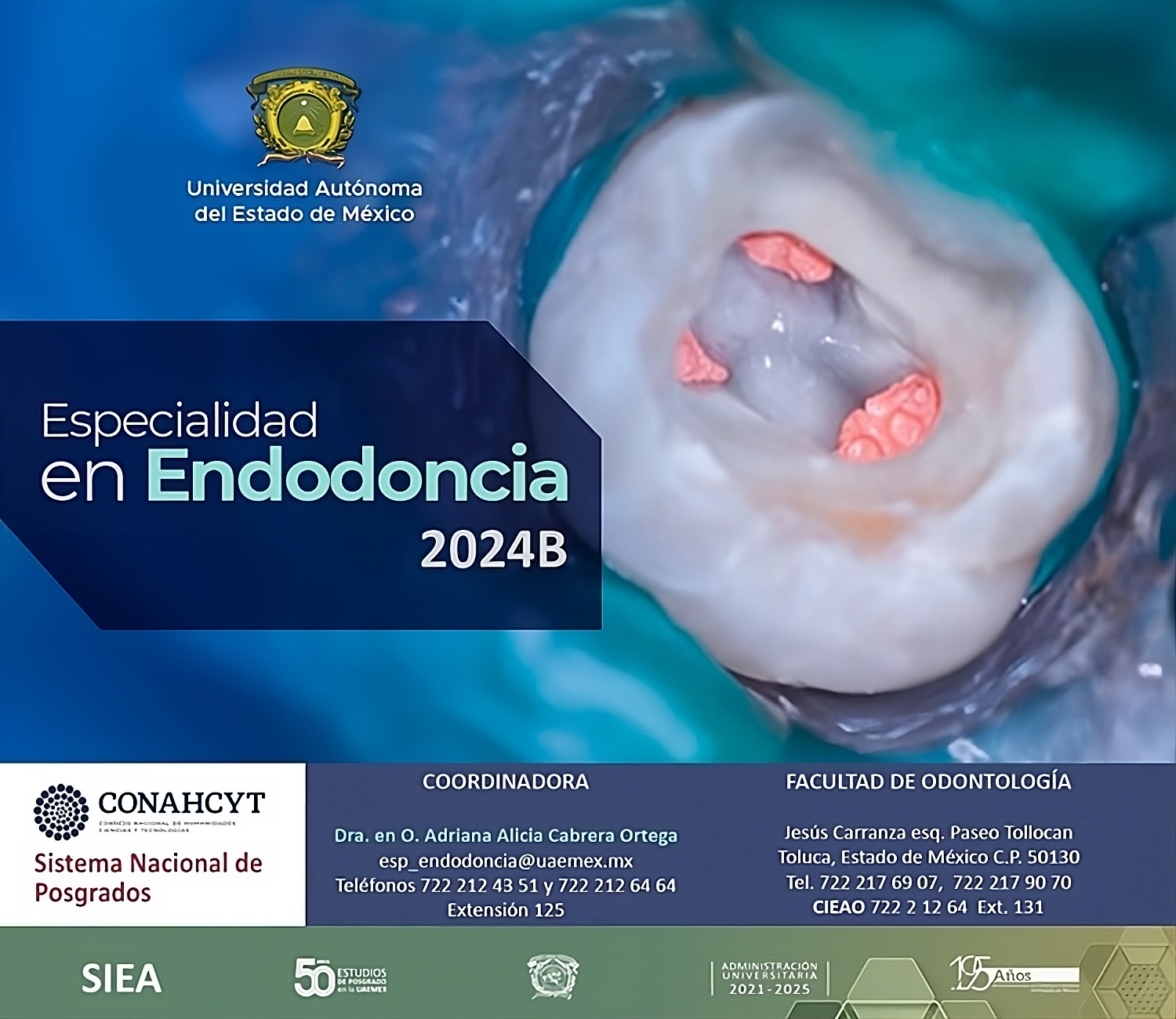 Especialidad en Endodoncia